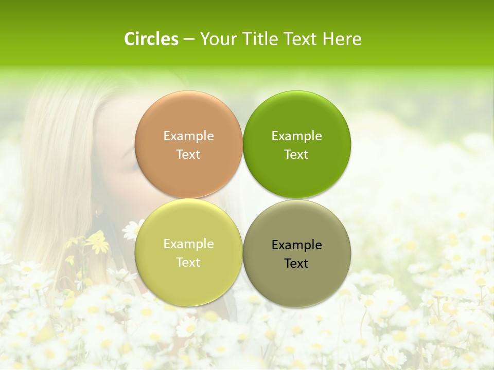 Beautiful Garden Chamomile PowerPoint Template