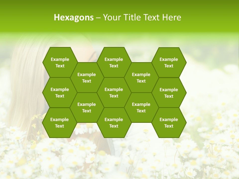Beautiful Garden Chamomile PowerPoint Template