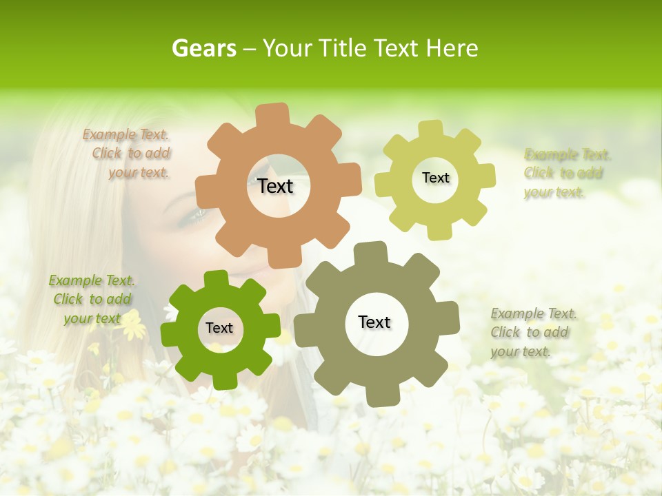 Beautiful Garden Chamomile PowerPoint Template