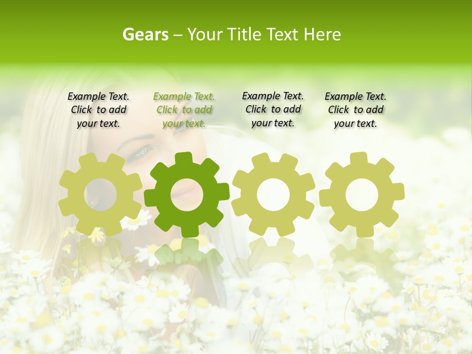 Beautiful Garden Chamomile PowerPoint Template