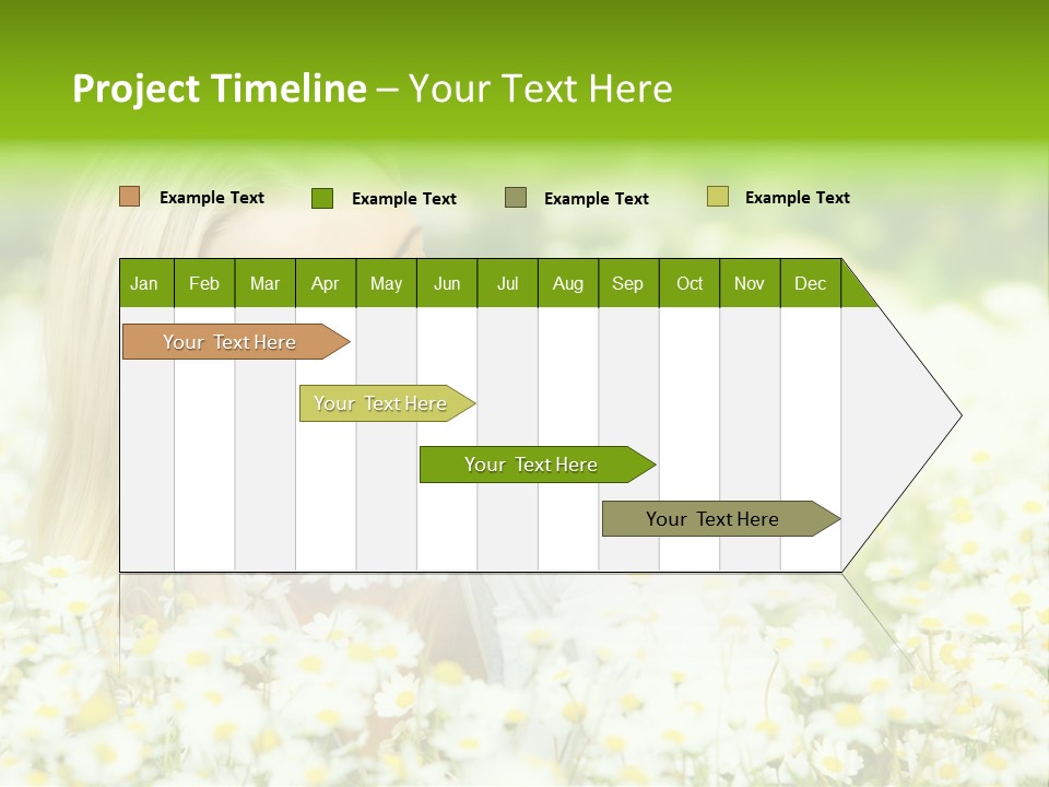 Beautiful Garden Chamomile PowerPoint Template