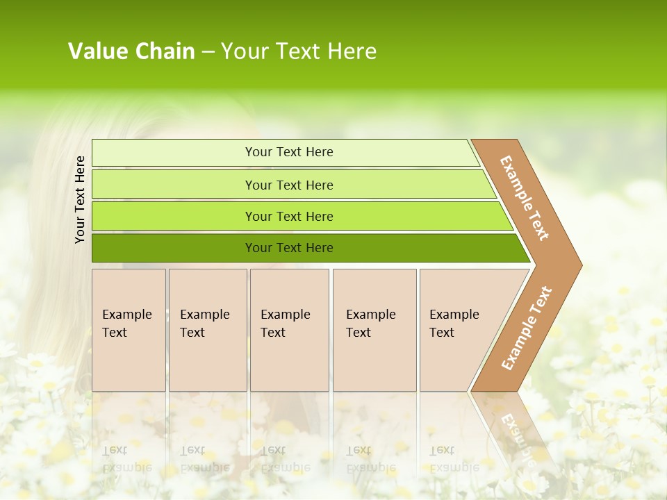 Beautiful Garden Chamomile PowerPoint Template
