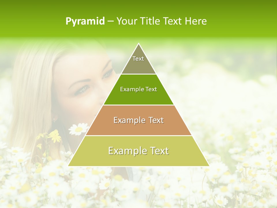 Beautiful Garden Chamomile PowerPoint Template