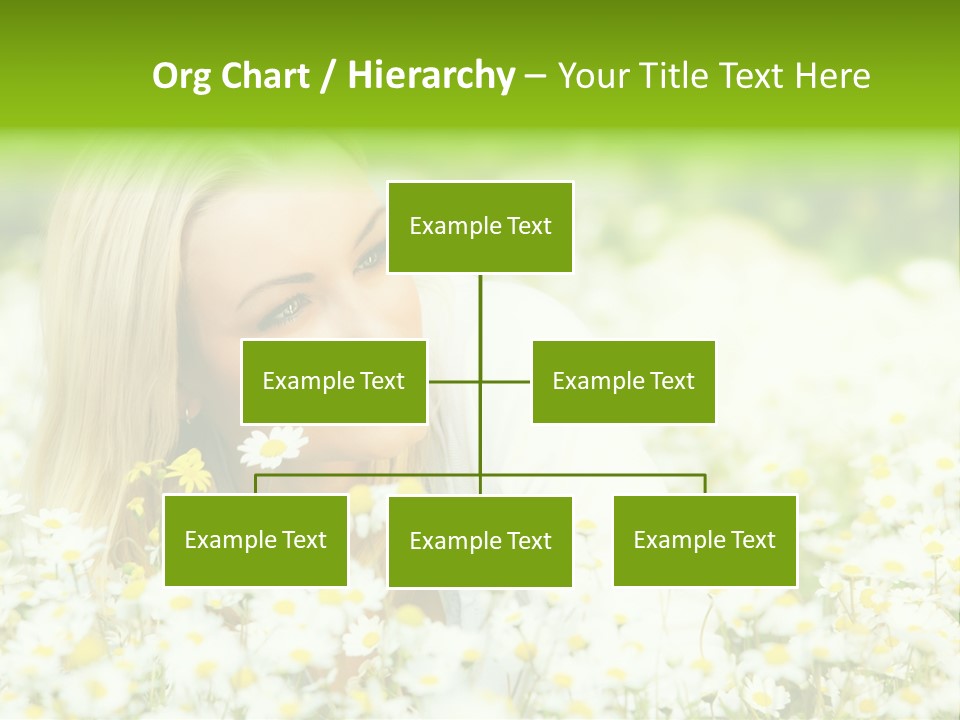 Beautiful Garden Chamomile PowerPoint Template