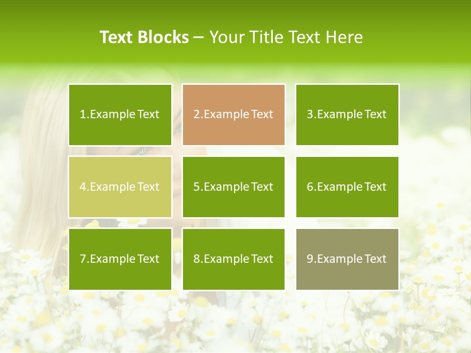 Beautiful Garden Chamomile PowerPoint Template
