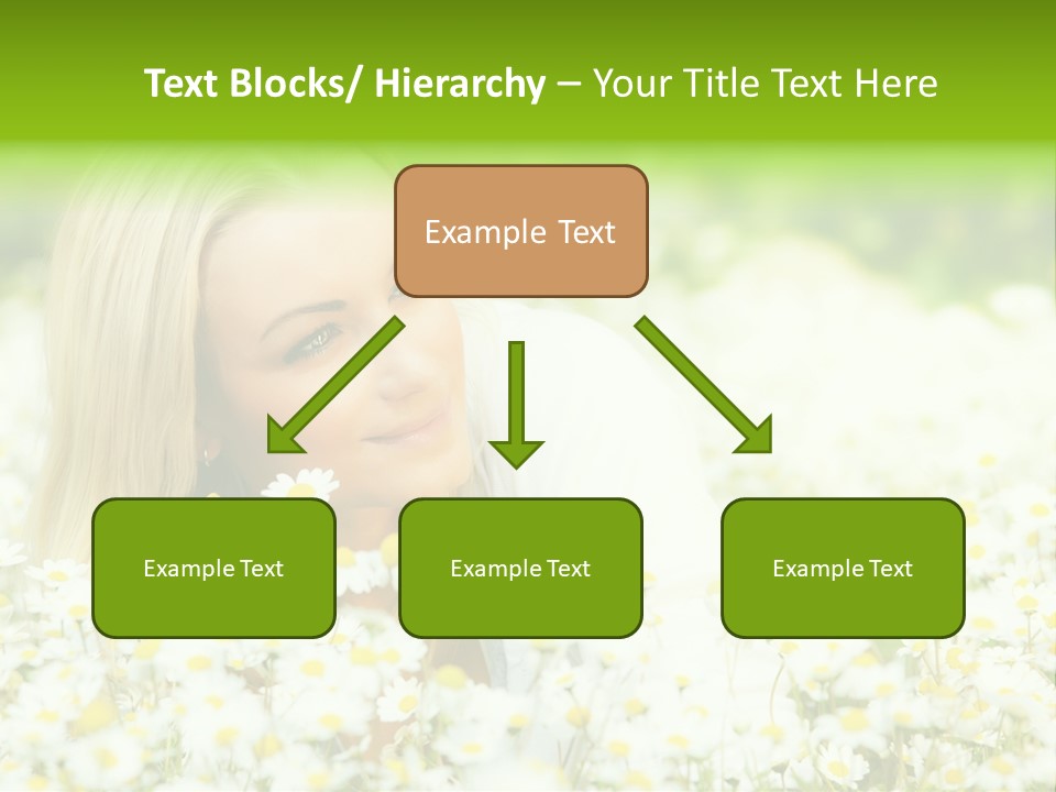 Beautiful Garden Chamomile PowerPoint Template