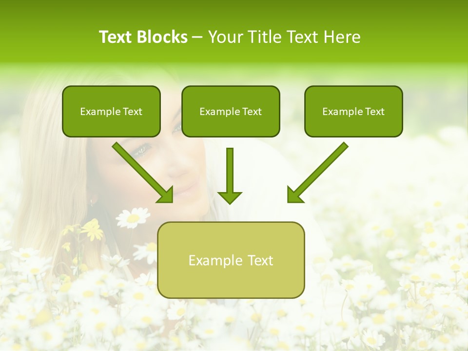 Beautiful Garden Chamomile PowerPoint Template