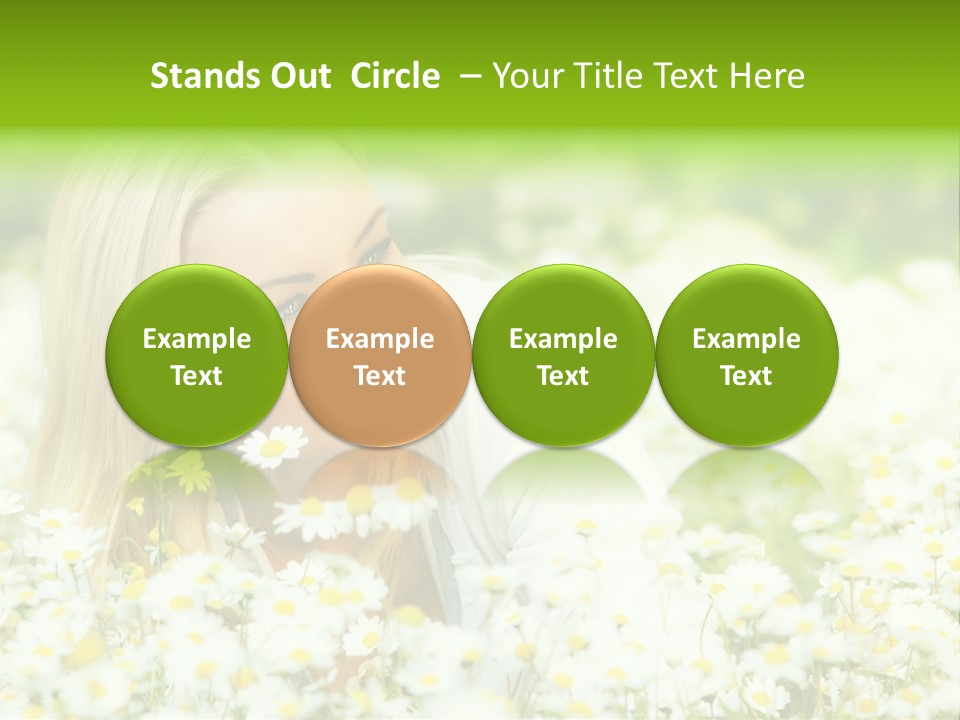 Beautiful Garden Chamomile PowerPoint Template