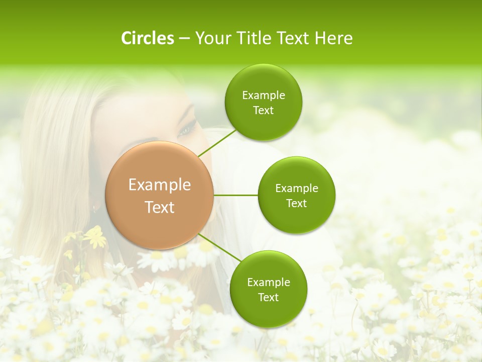 Beautiful Garden Chamomile PowerPoint Template