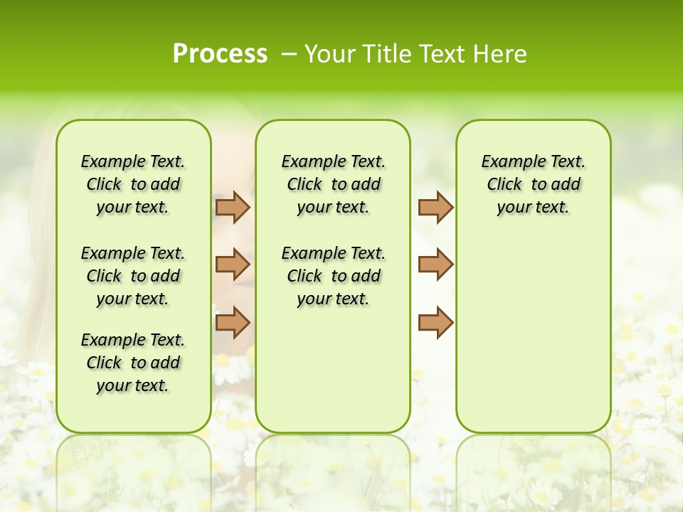 Beautiful Garden Chamomile PowerPoint Template