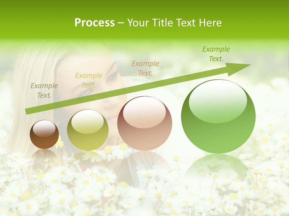 Beautiful Garden Chamomile PowerPoint Template