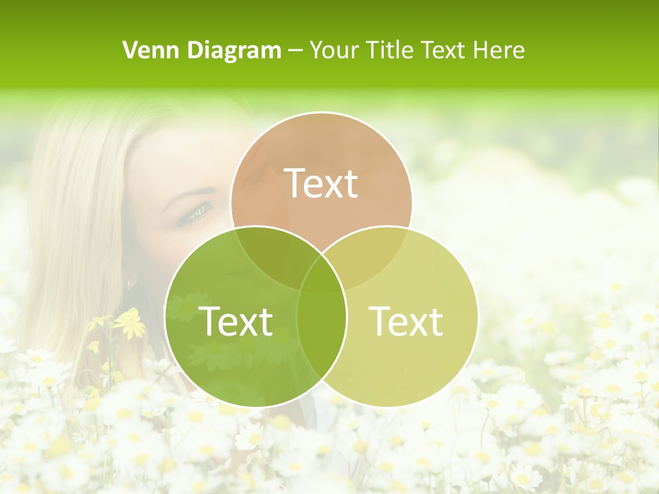 Beautiful Garden Chamomile PowerPoint Template