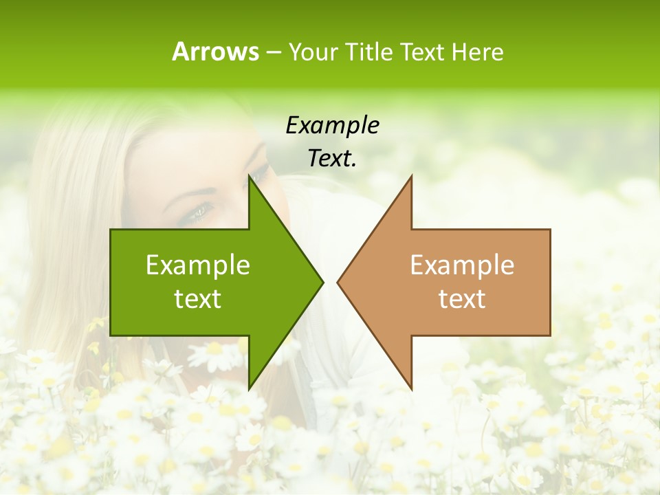 Beautiful Garden Chamomile PowerPoint Template