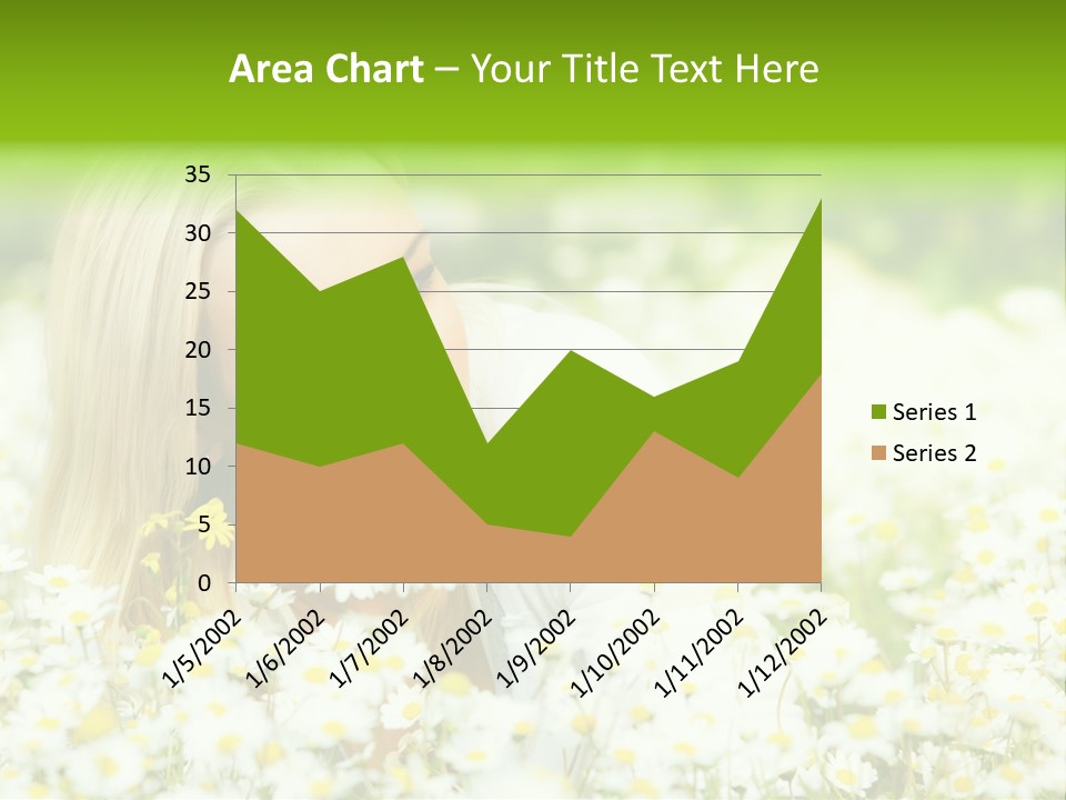 Beautiful Garden Chamomile PowerPoint Template