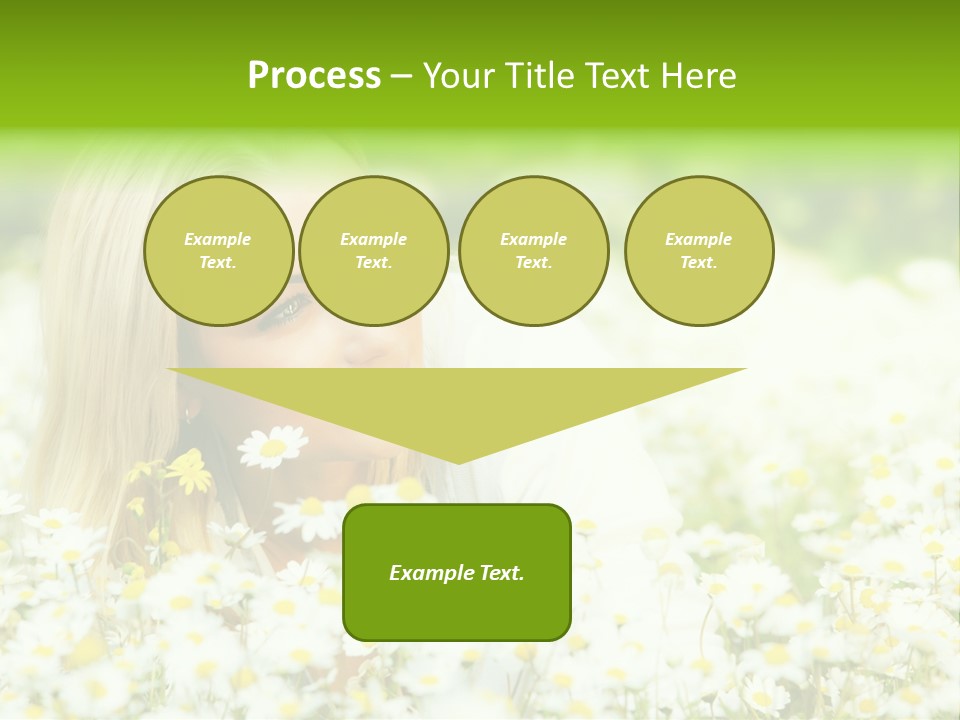 Beautiful Garden Chamomile PowerPoint Template