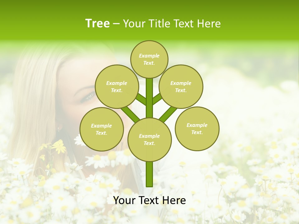 Beautiful Garden Chamomile PowerPoint Template