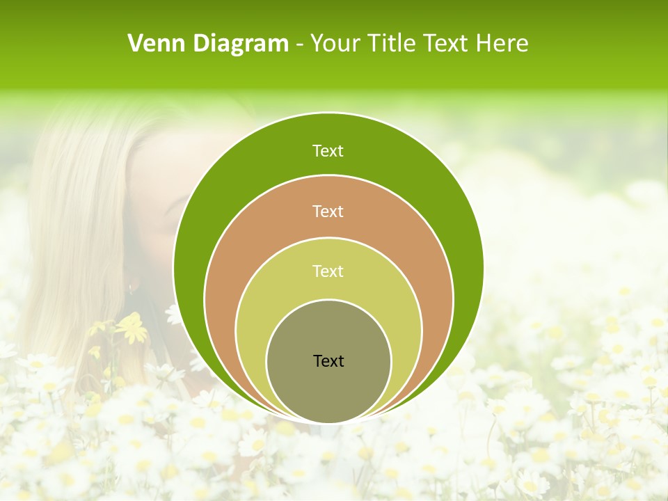 Beautiful Garden Chamomile PowerPoint Template