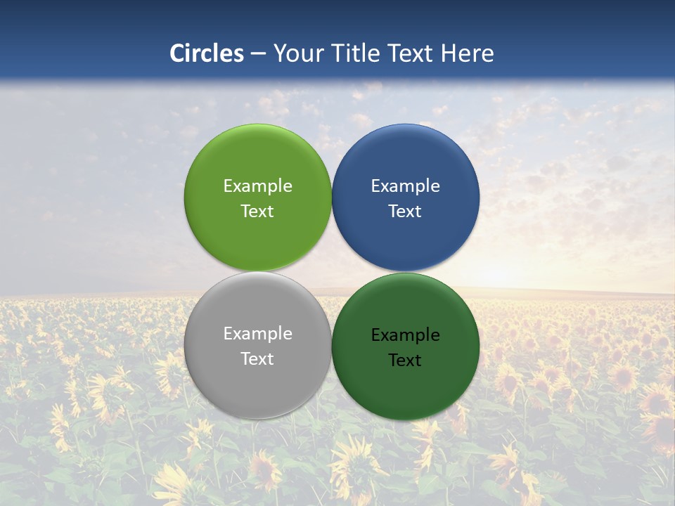 Scene Horizon Sky PowerPoint Template