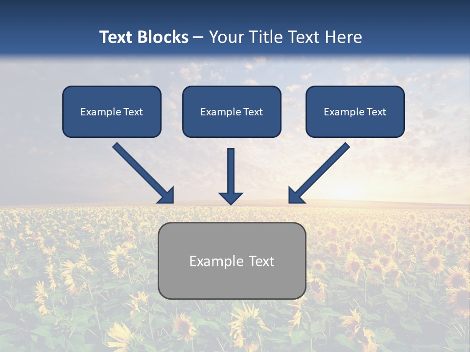 Scene Horizon Sky PowerPoint Template