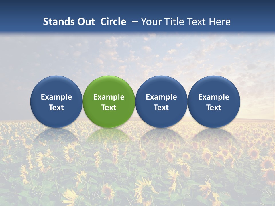 Scene Horizon Sky PowerPoint Template
