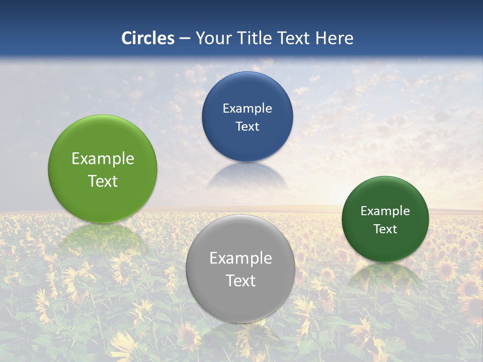 Scene Horizon Sky PowerPoint Template