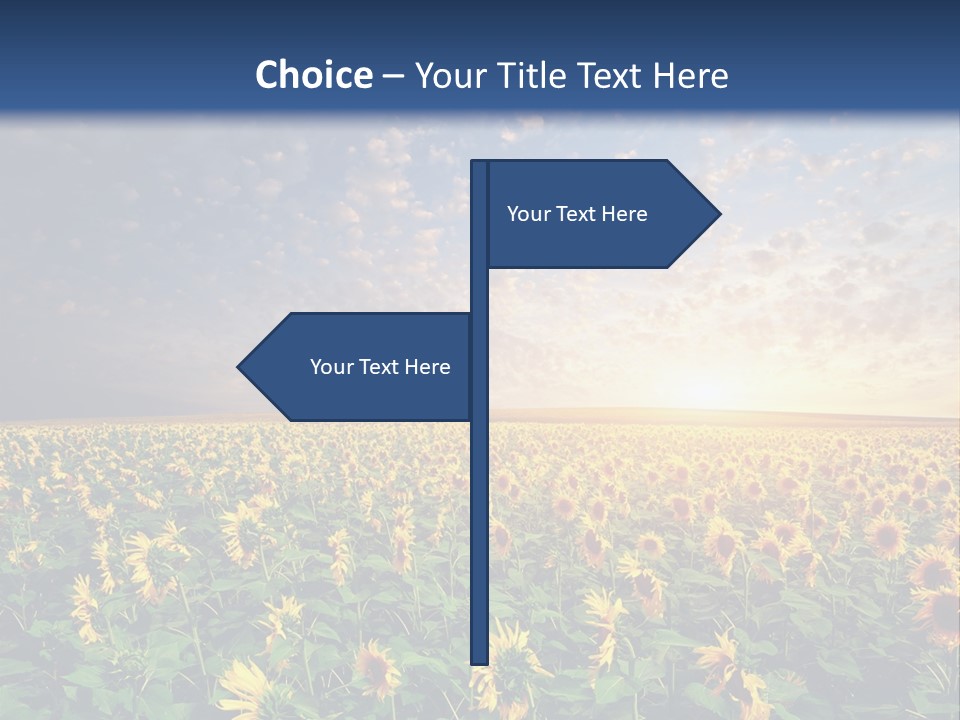 Scene Horizon Sky PowerPoint Template