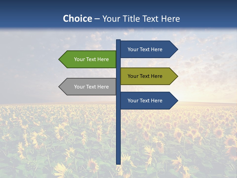 Scene Horizon Sky PowerPoint Template