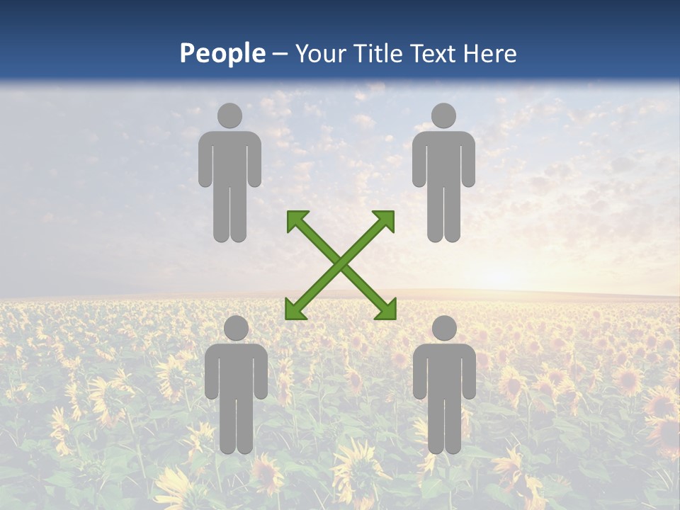 Scene Horizon Sky PowerPoint Template