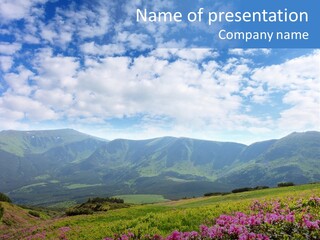 Rhododendron Rural Forest PowerPoint Template