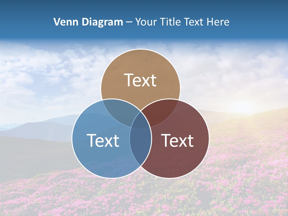 Travel Bloom Beautiful PowerPoint Template