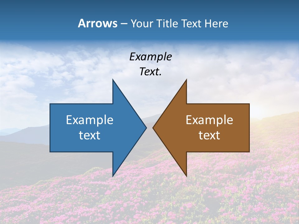 Travel Bloom Beautiful PowerPoint Template