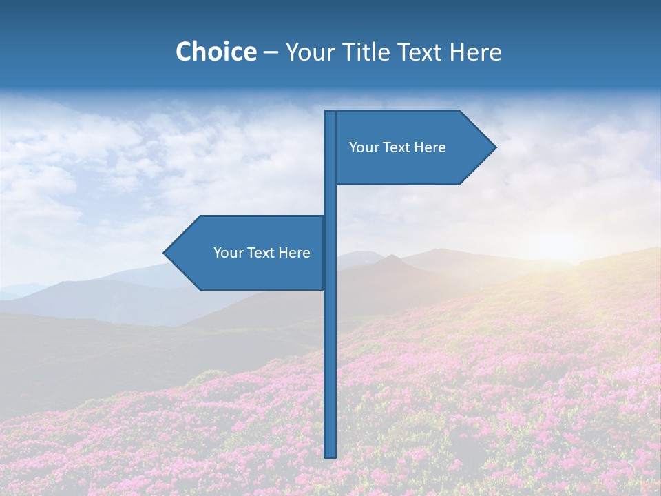 Travel Bloom Beautiful PowerPoint Template