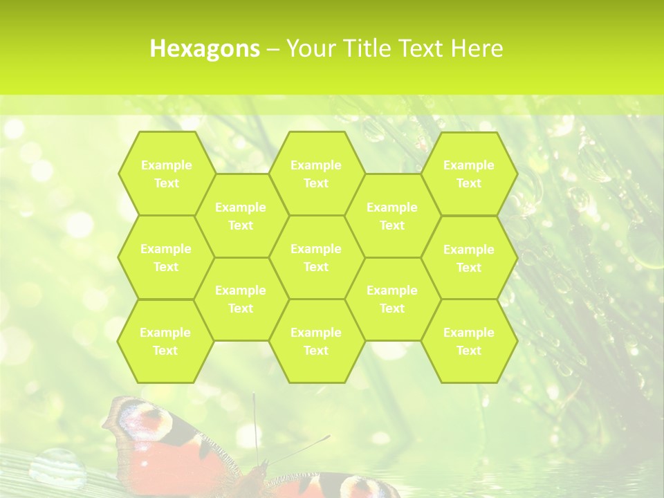 Closeup Weather Summer PowerPoint Template