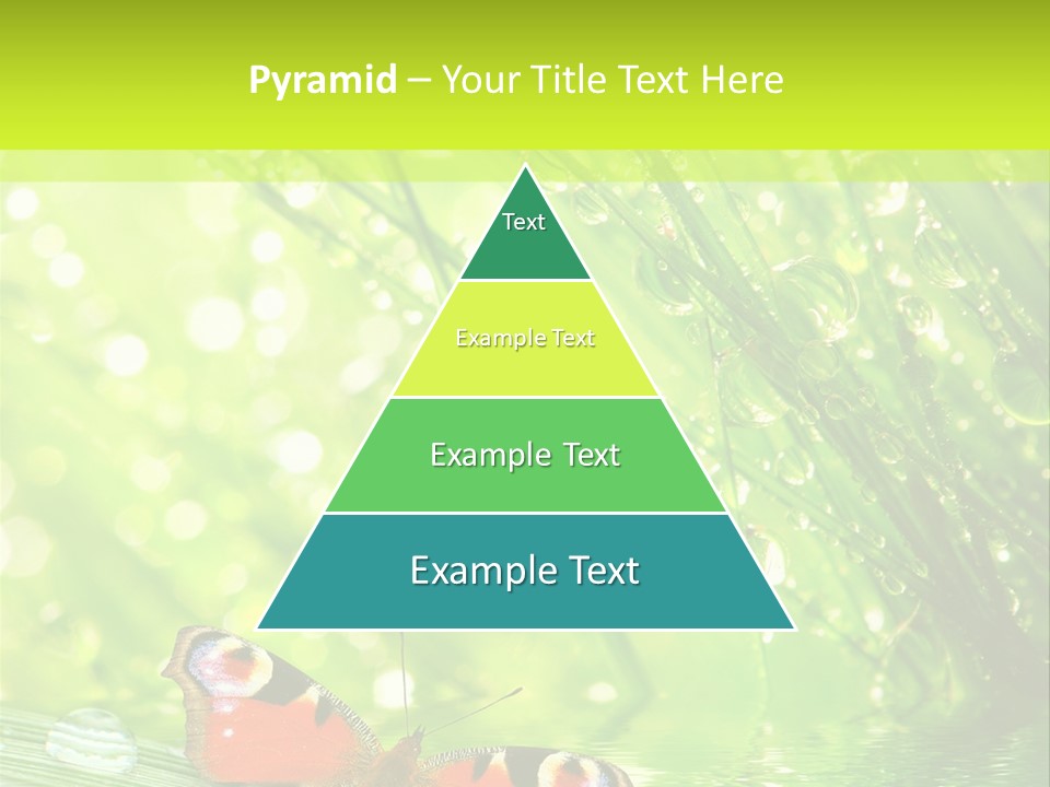 Closeup Weather Summer PowerPoint Template