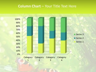 Closeup Weather Summer PowerPoint Template