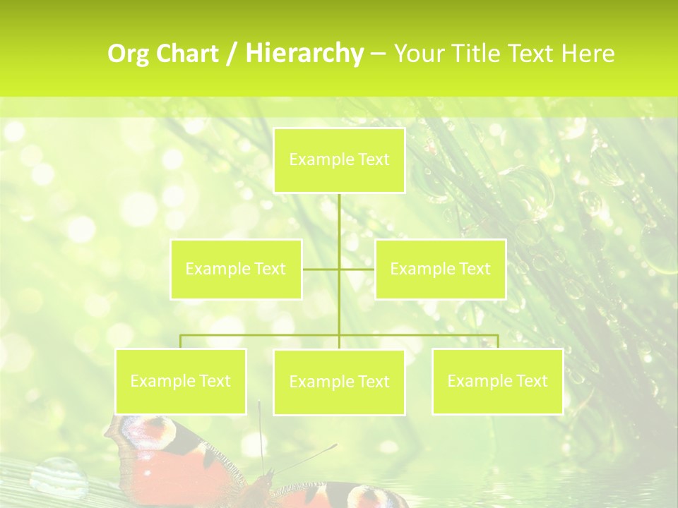 Closeup Weather Summer PowerPoint Template