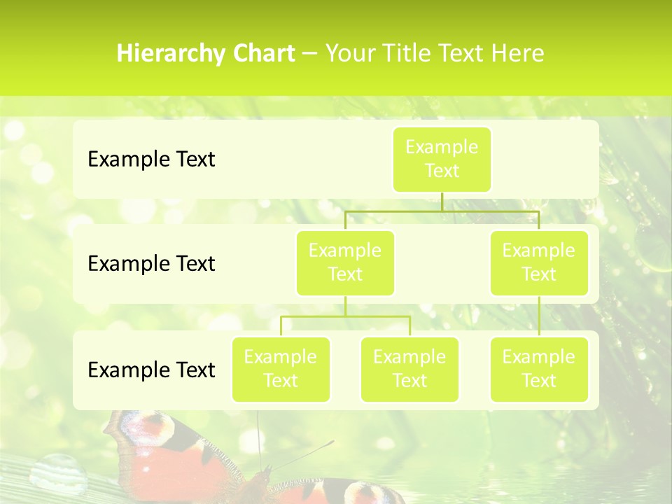 Closeup Weather Summer PowerPoint Template