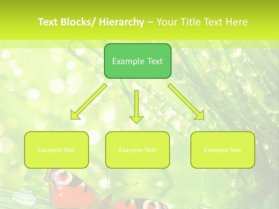 Closeup Weather Summer PowerPoint Template