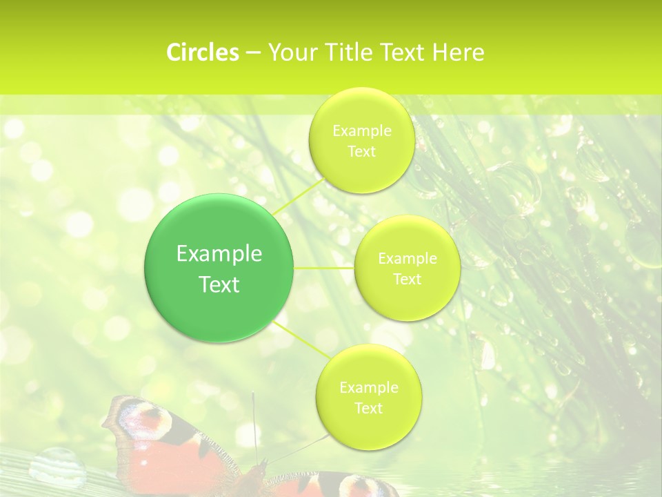 Closeup Weather Summer PowerPoint Template