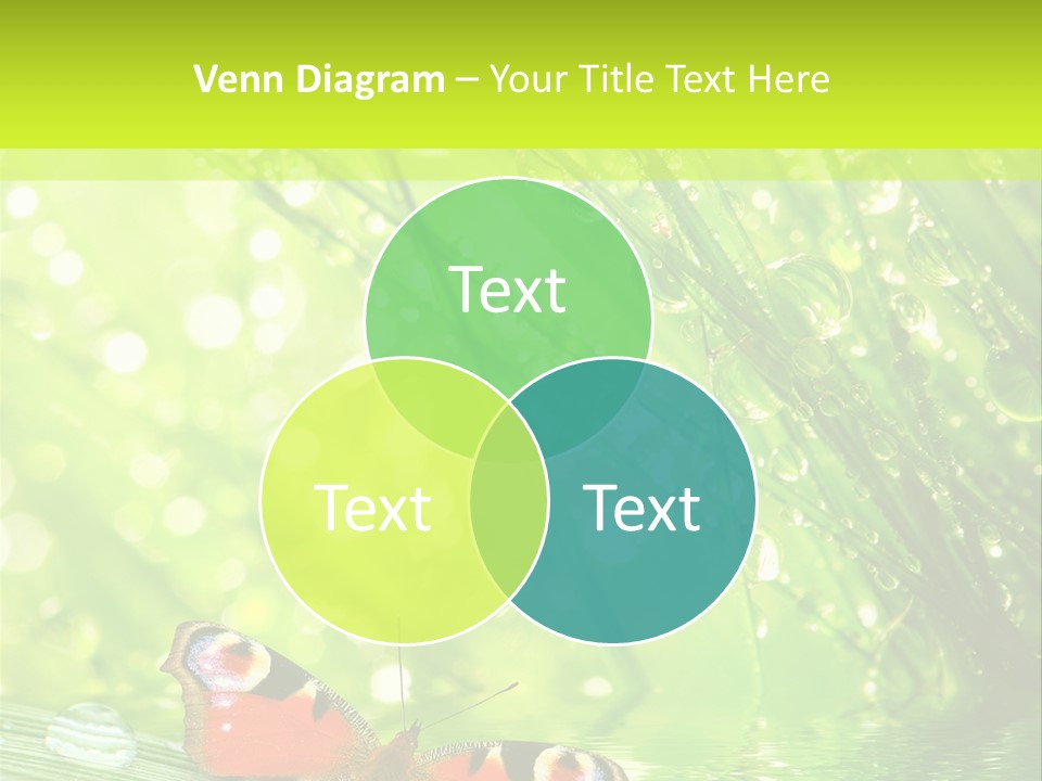 Closeup Weather Summer PowerPoint Template