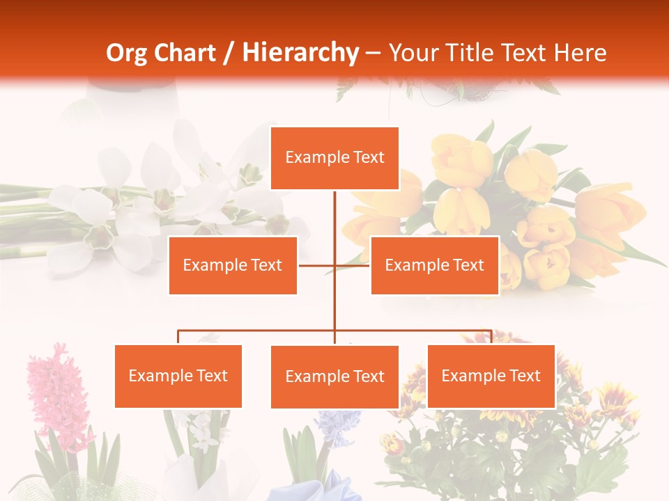 Collection Bright White PowerPoint Template