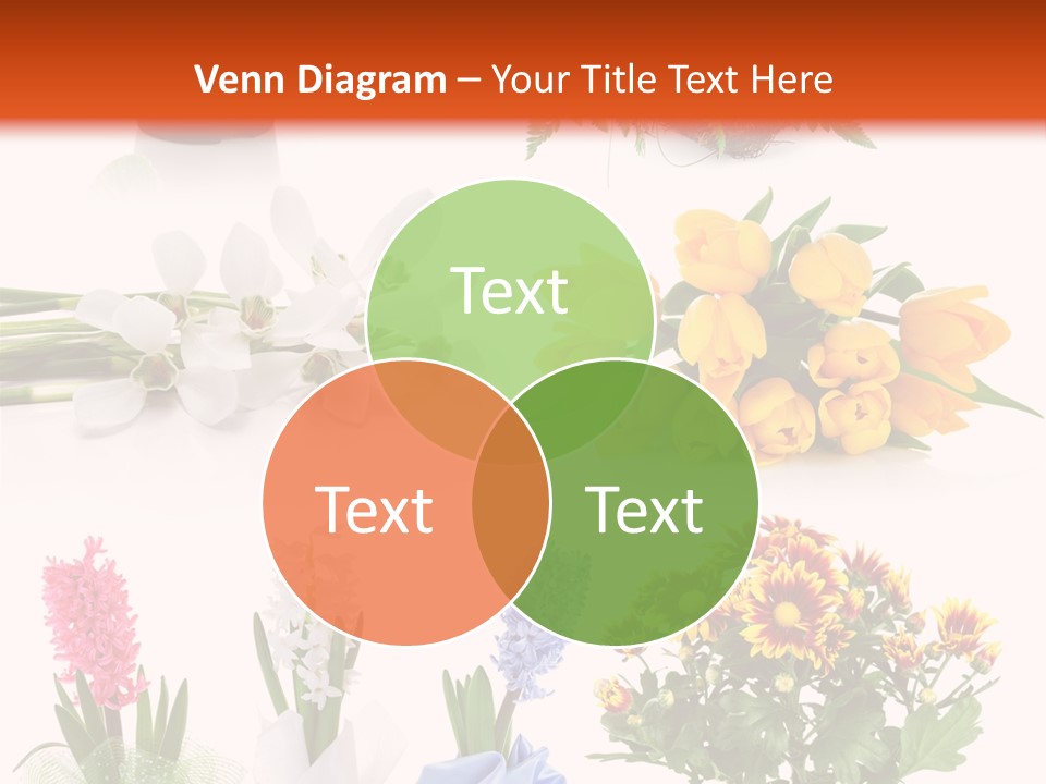 Collection Bright White PowerPoint Template