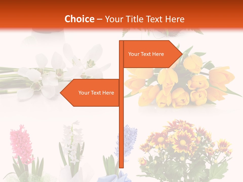 Collection Bright White PowerPoint Template