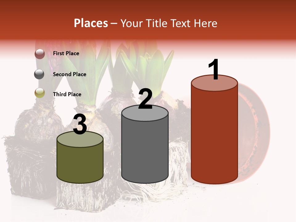Concept Dirt Young PowerPoint Template