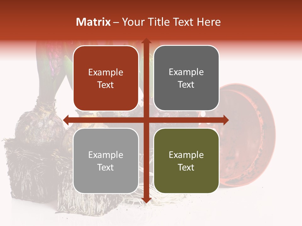 Concept Dirt Young PowerPoint Template