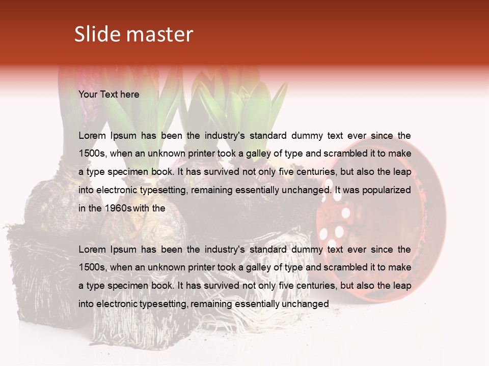 Concept Dirt Young PowerPoint Template