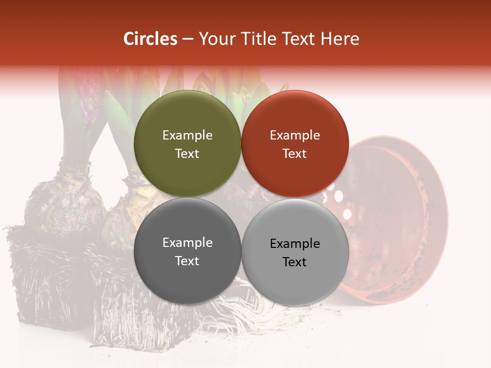 Concept Dirt Young PowerPoint Template