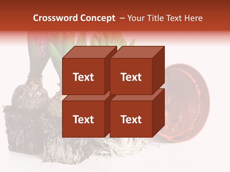 Concept Dirt Young PowerPoint Template