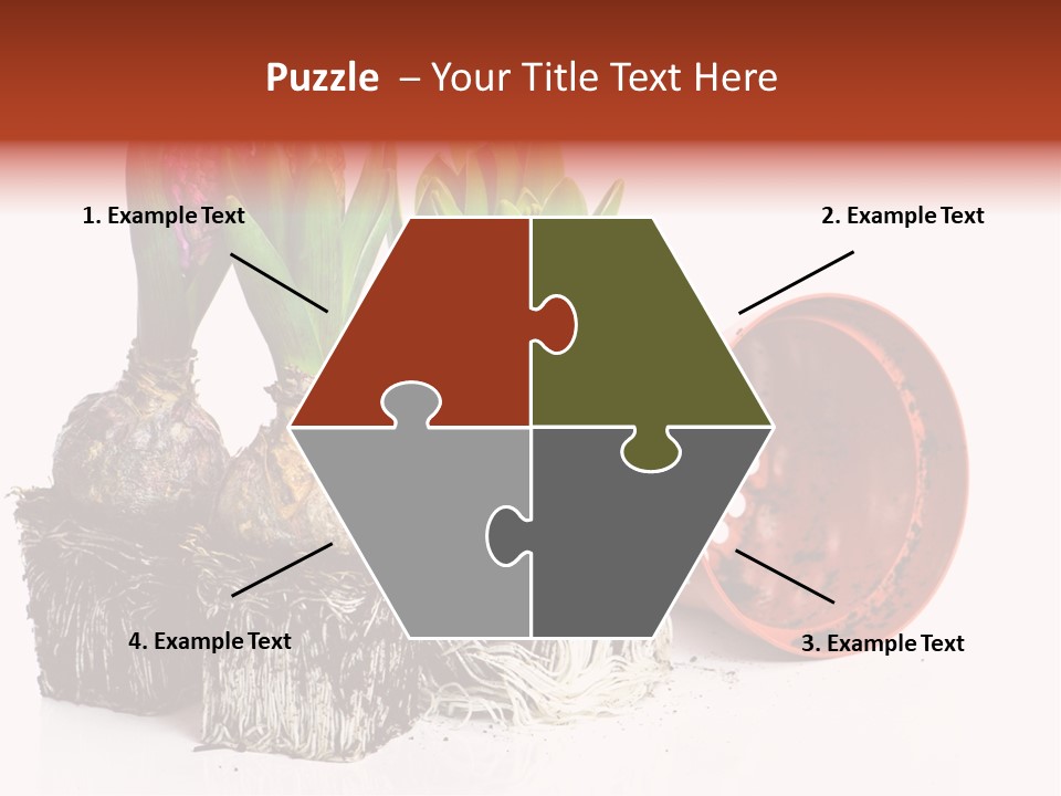 Concept Dirt Young PowerPoint Template
