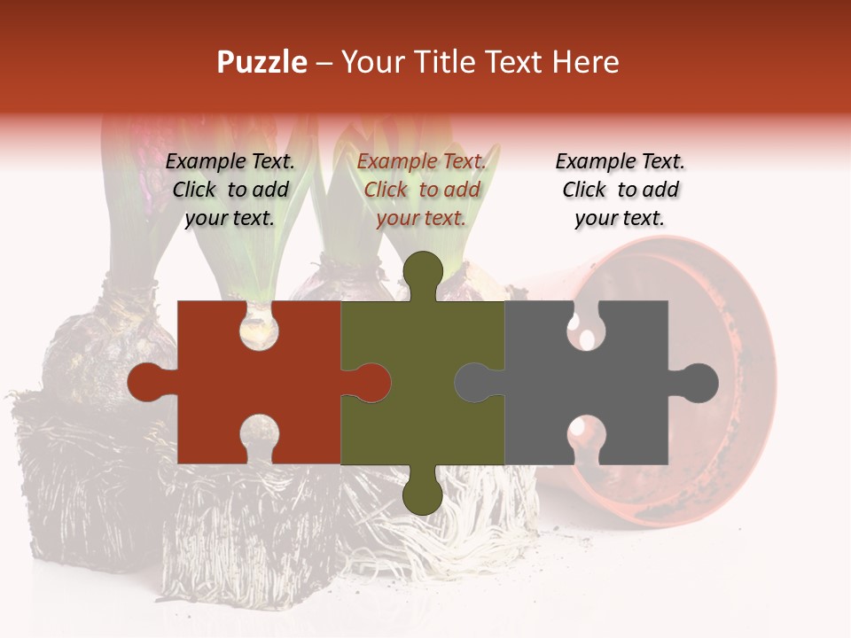 Concept Dirt Young PowerPoint Template